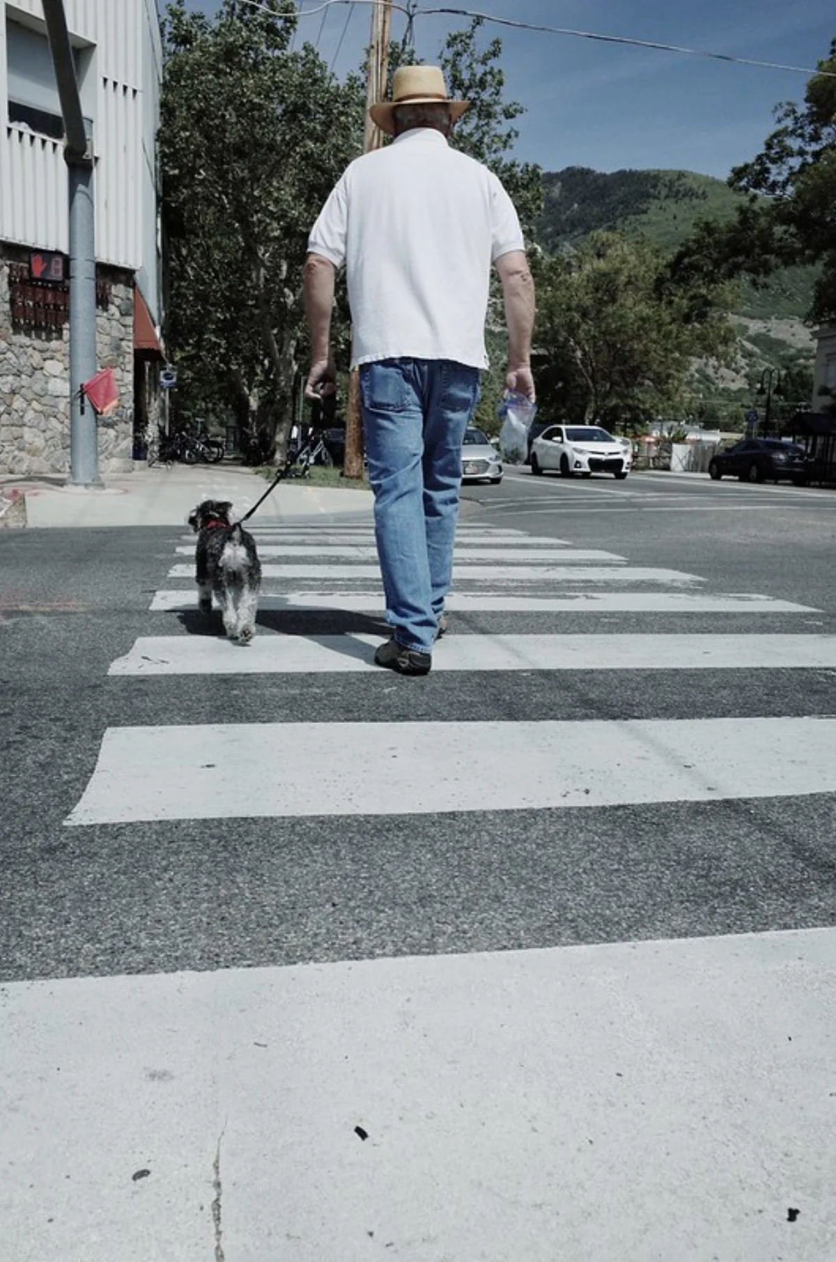 Cámara digital mostrando ajustes de simulación de película junto a rollos de 35mm reales