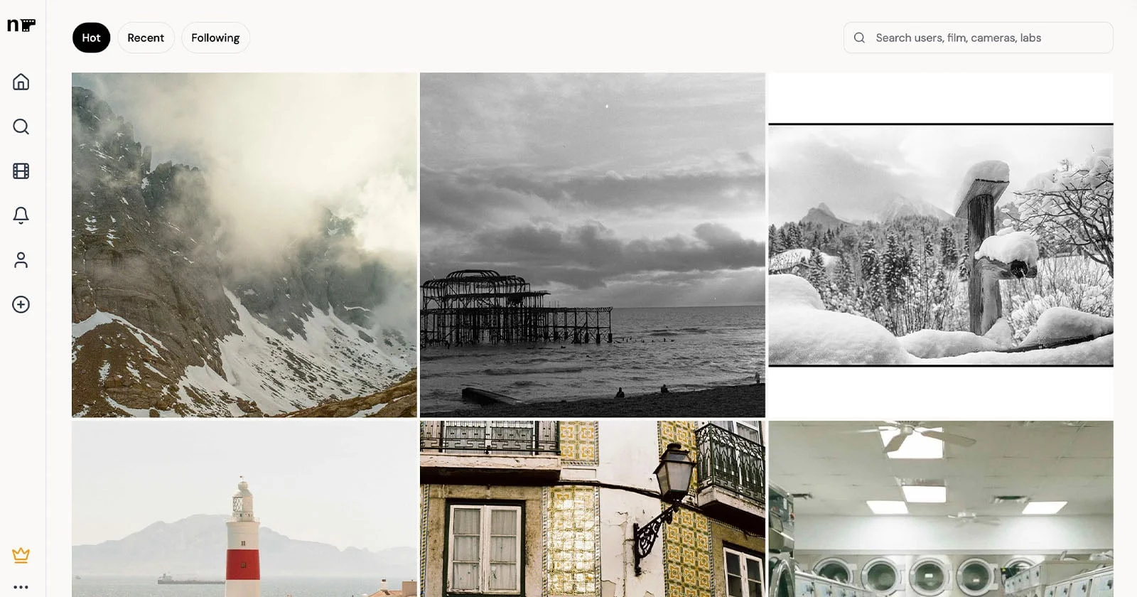 Newgrain web app showing a curated grid of film photographs